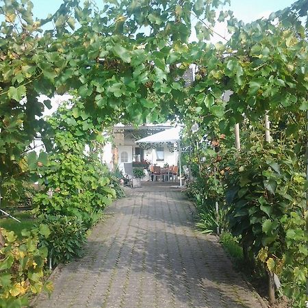 Ferienwohnung Ferienweingut Arnold Thiesen Bruttig-Fankel Exterior foto